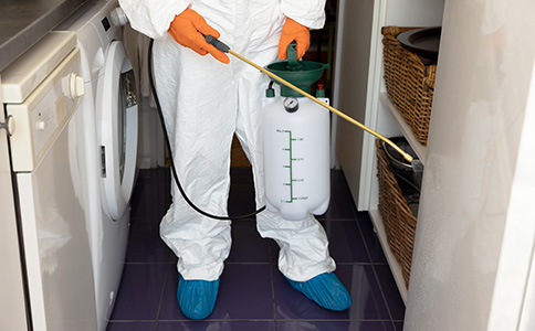 代辦衛生許可證多少錢 代辦衛生許可證多少錢